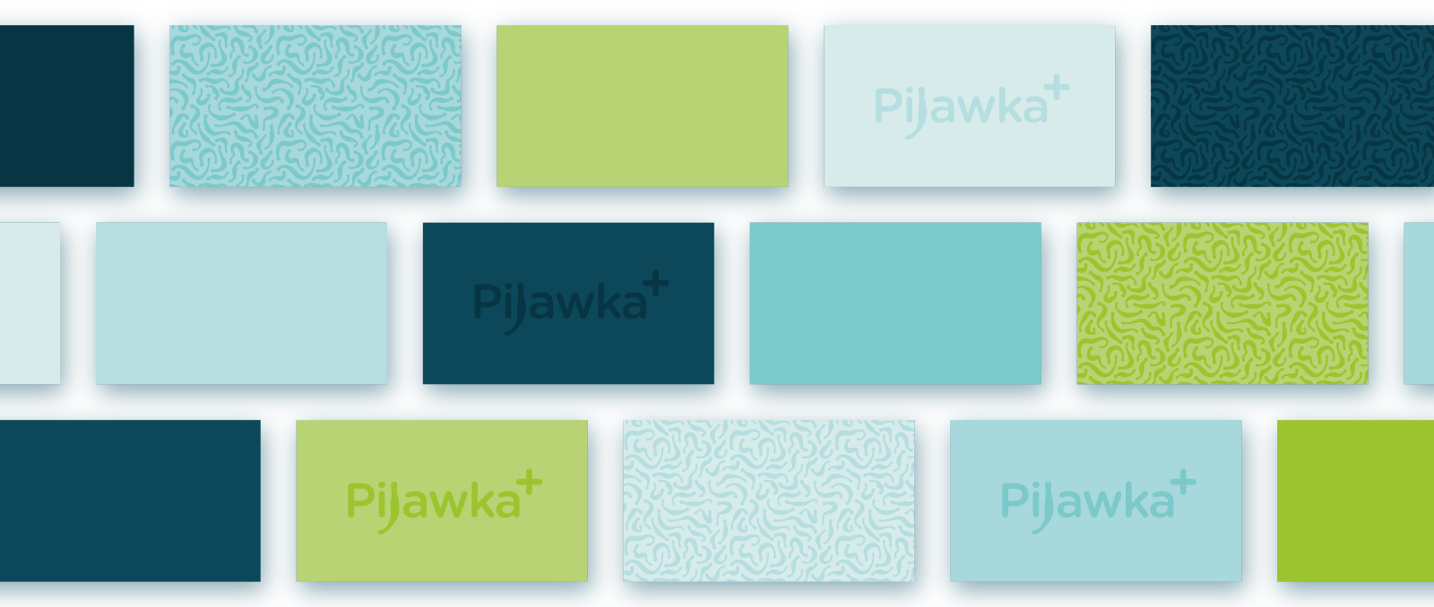 03 Pijawka wizytowki reversy