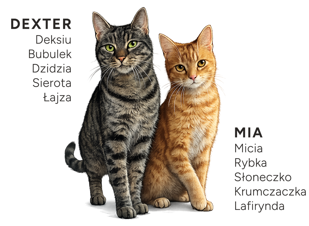 Kotki - Dexter i Mia