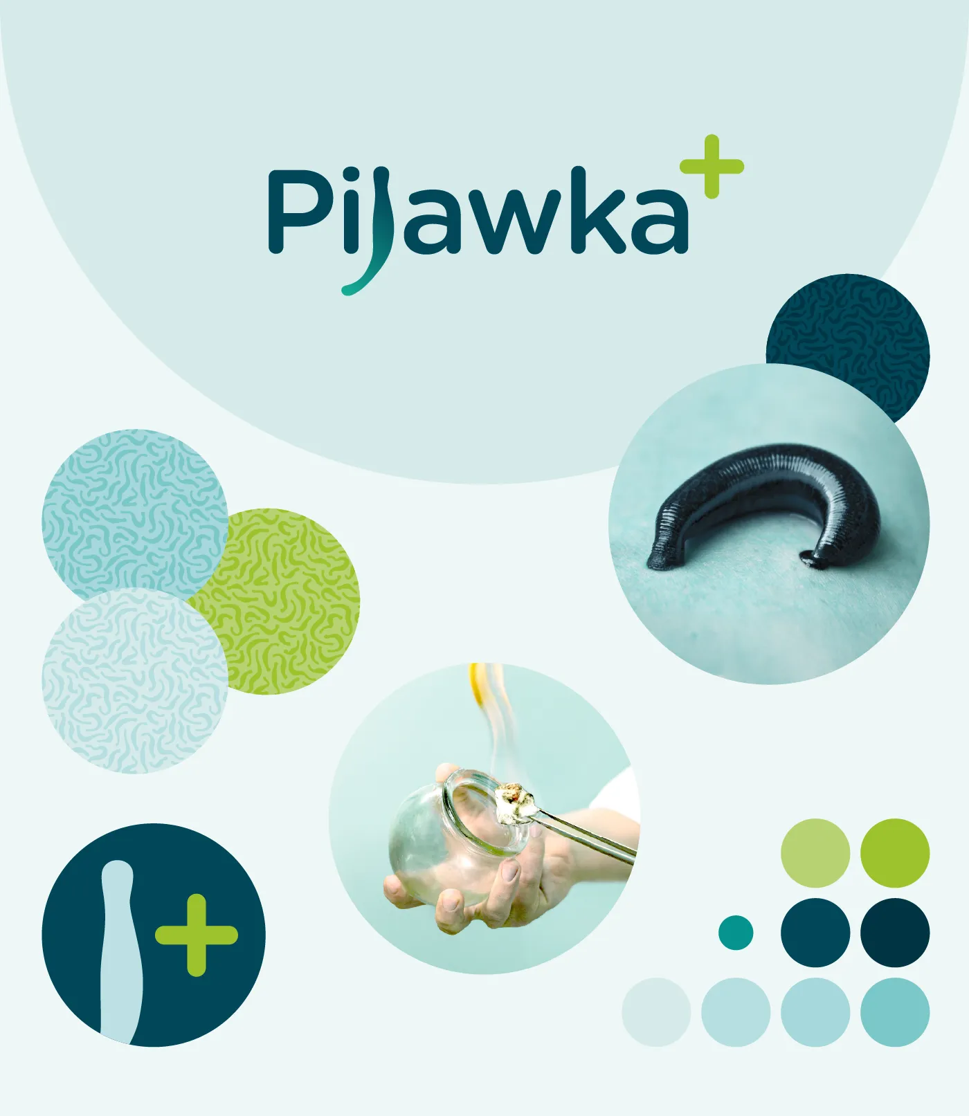 Pijawka Plus dashboard
