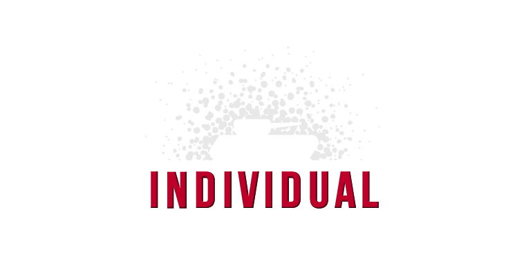 LOGOFOLIO | logo Individual Core rgb