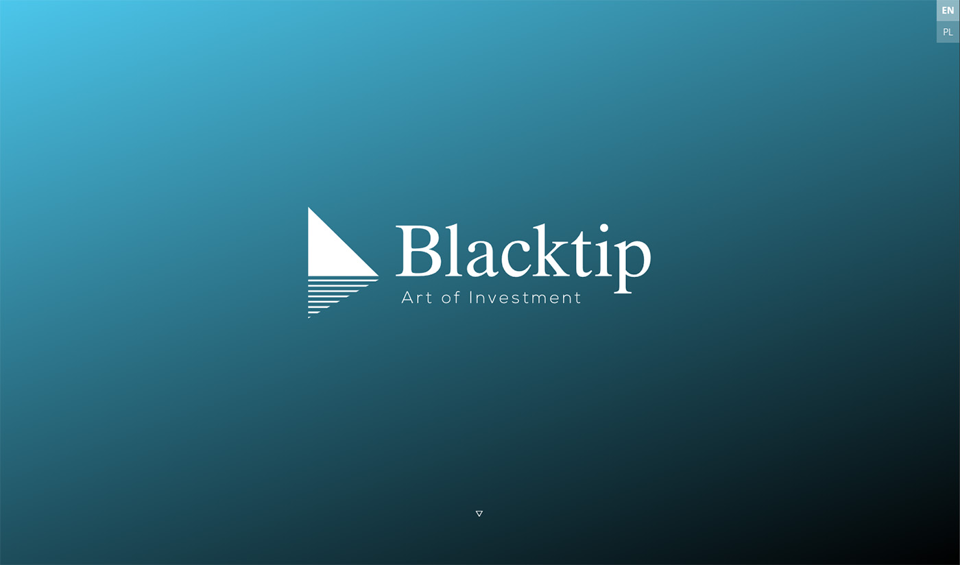 STRONY INTERNETOWE | www blacktip investment co uk