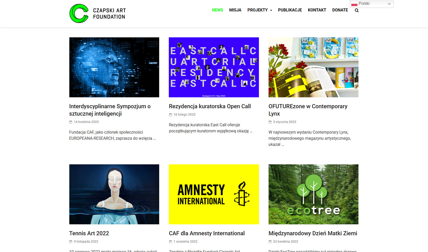 STRONY INTERNETOWE | www czapskiartfoundation pl